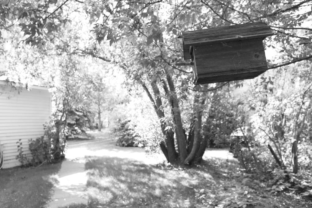 Sproule Heritage Bed & Breakfast Strathmore Zewnętrze zdjęcie